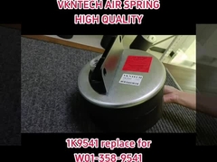 वायु निलंबन स्प्रिंग्स 1K9541 W01-358-9541 के लिए REPALCE